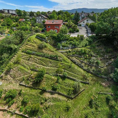 Apartment With Garden & Terrasse Very Quiet トノン・レ・バン エクステリア 写真